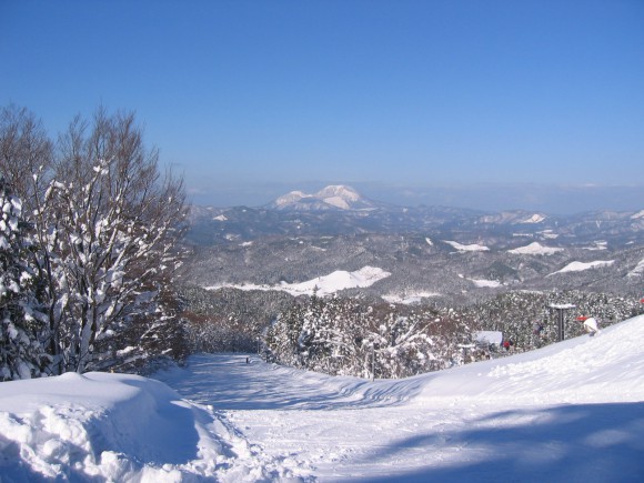 12.25pine2
